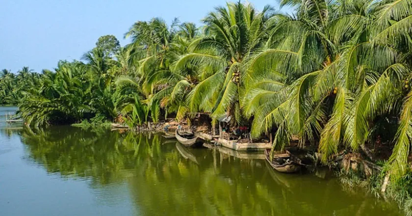 Chỉ cần bạn đang gặp khó khăn về tài chính thì hãy chọn ngay dịch vụ vay tiền nhanh tại Bến Tre