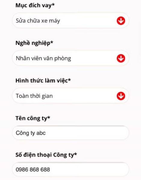 Điền thông tin công việc vay vốn tại VayVND