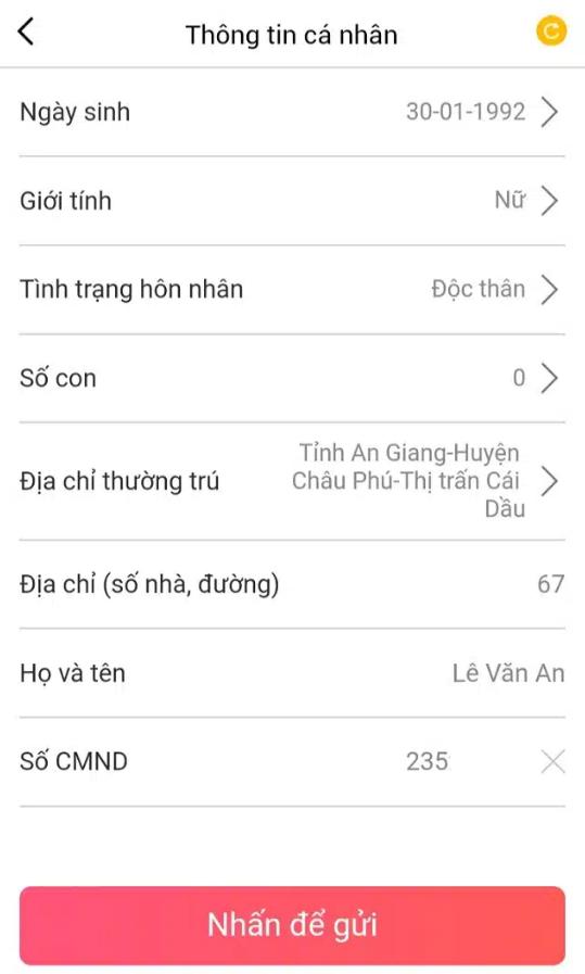 Hướng Dẫn Vay Vdong